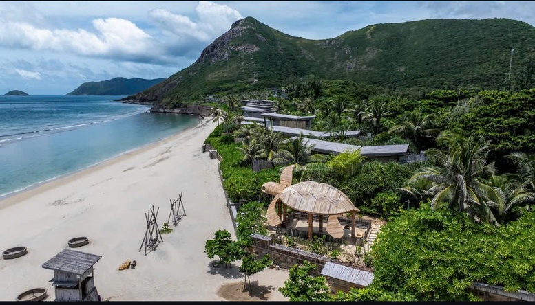 Cột mốc đáng tự hào: Hơn 30.000 cá thể rùa biển được thả về đại dương tại Côn Đảo- Ảnh 1. Cột mốc đáng tự hào: Hơn 30.000 cá thể rùa biển được thả về đại dương tại Côn Đảo- Ảnh 1.