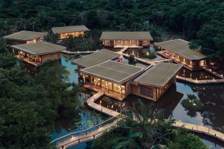 Cột mốc đáng tự hào: Hơn 30.000 cá thể rùa biển được thả về đại dương tại Côn Đảo- Ảnh 5. Cột mốc đáng tự hào: Hơn 30.000 cá thể rùa biển được thả về đại dương tại Côn Đảo- Ảnh 5.