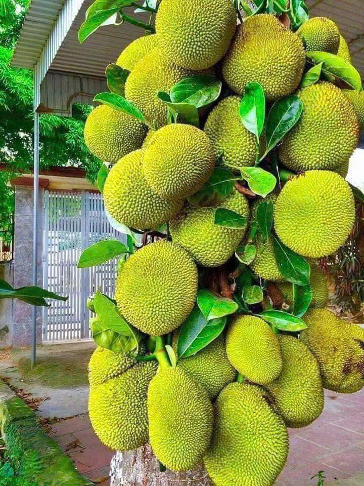 Vùng đất của những món ăn độc đáo, giản dị, đã thử 1 lần là nhớ mãi không quên!- Ảnh 4. Vùng đất của những món ăn độc đáo, giản dị, đã thử 1 lần là nhớ mãi không quên!- Ảnh 4.