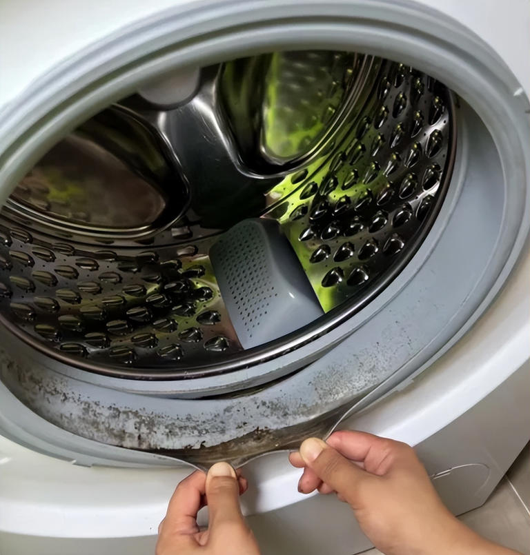 5 vật dụng trong nhà này "cực kỳ bẩn" nhưng bạn lại sử dụng chúng hàng ngày- Ảnh 4. 5 vật dụng nhà cái hi88 nhà này "cực kỳ bẩn" nhưng bạn lại sử dụng chúng hàng ngày- Ảnh 4.