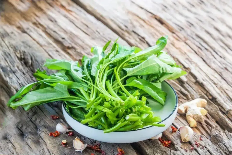 Loại rau giải nhiệt mùa hè là "thuốc làm sạch đường ruột", giúp hạ đường huyết, tốt đủ đường: Chợ Việt bán vừa nhiều vừa rẻ- Ảnh 1. Loại hi88.com lừa đảo giải nhiệt mùa hè là "thuốc làm sạch đường ruột", giúp hạ đường huyết, tốt đủ đường: Chợ Việt bán vừa nhiều vừa rẻ- Ảnh 1.