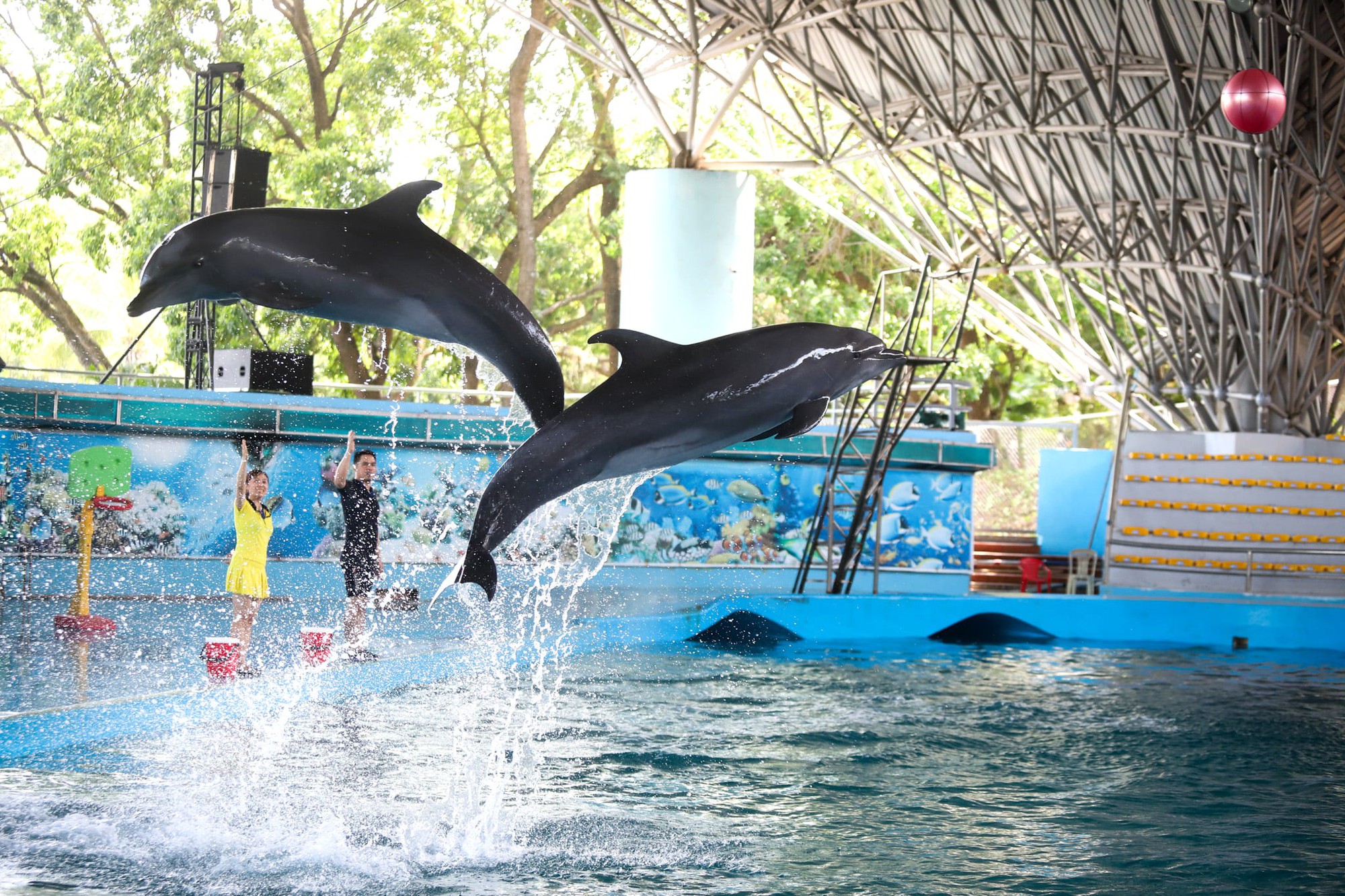Tuần Châu Park: Điểm đến lý tưởng cho mùa hè sôi động tại Quảng Ninh- Ảnh 1. Tuần Châu Park: Điểm đến lý tưởng cho mùa hè sôi động tại Quảng Ninh- Ảnh 1.