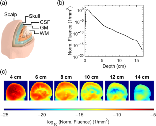 Lần đầu tiên, các nhà khoa học bắn được tia laser xuyên qua đầu một người đàn ông, và ông ấy vẫn còn sống- Ảnh 7. Lần đầu tiên, các nhà khoa học bắn được tia laser xuyên qua đầu một người đàn ông, và ông ấy vẫn còn sống- Ảnh 7.