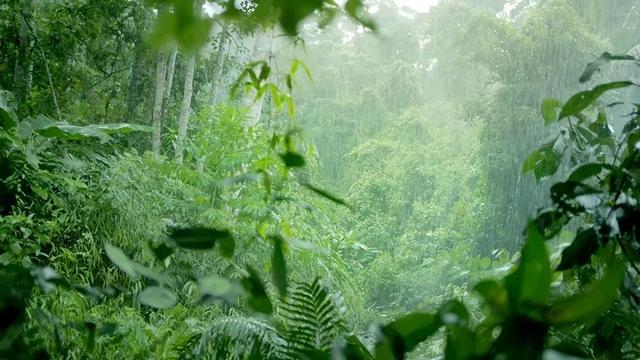 Đá basalt từ núi lửa triệu năm – Bộ lọc kỳ diệu tạo nên “kho báu” nước ngầm tinh khiết- Ảnh 2. Đá basalt từ núi lửa triệu năm – Bộ lọc kỳ diệu tạo nên “kho báu” nước ngầm tinh khiết- Ảnh 2.