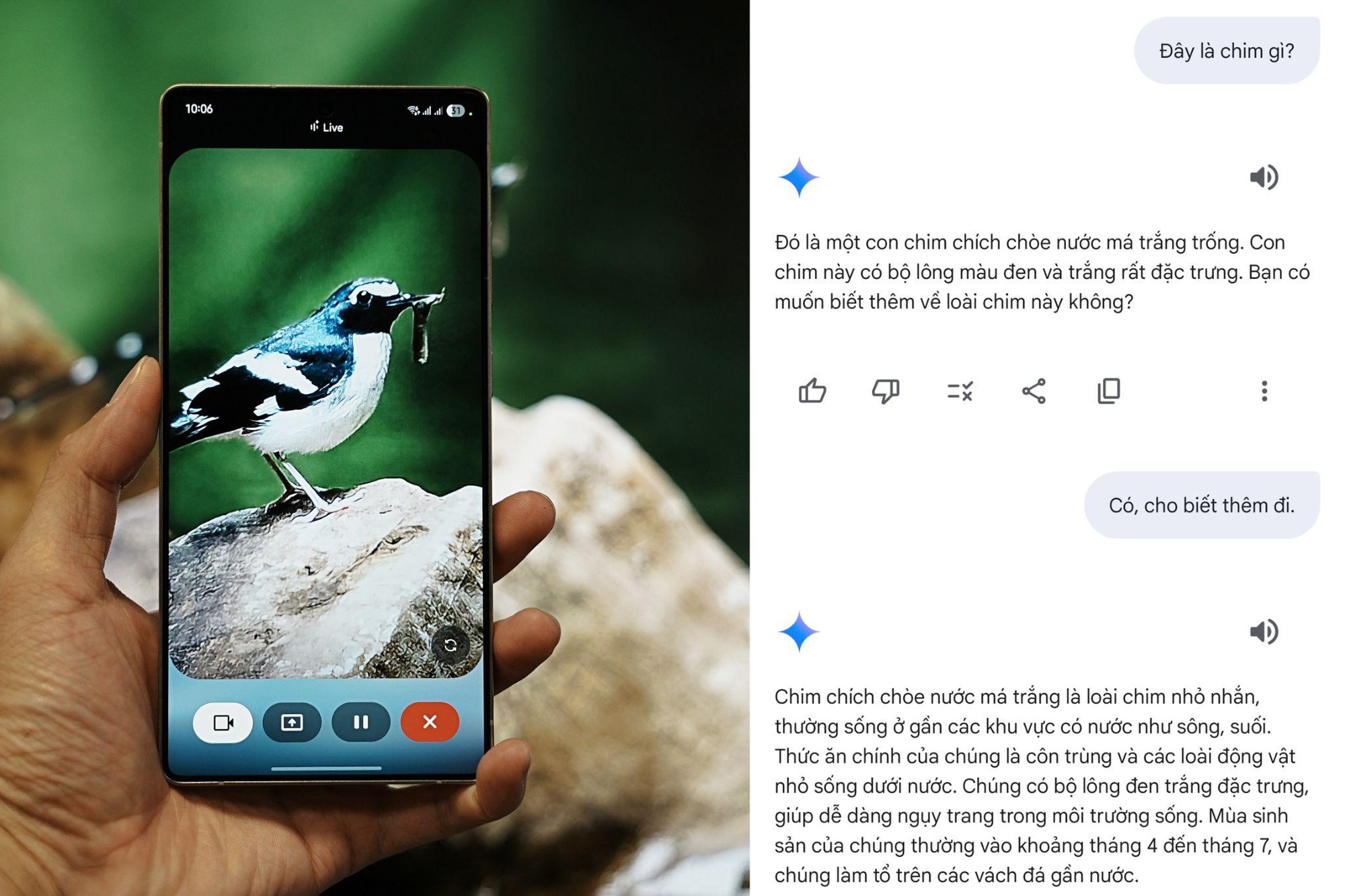 Khám phá Bidoup - Núi Bà cùng Galaxy S25 Series và “hướng dẫn viên AI” Gemini Live- Ảnh 5. Khám phá Bidoup - Núi Bà cùng Galaxy S25 Series và “hướng dẫn viên AI” truc tiep bong da vtv6- Ảnh 5.