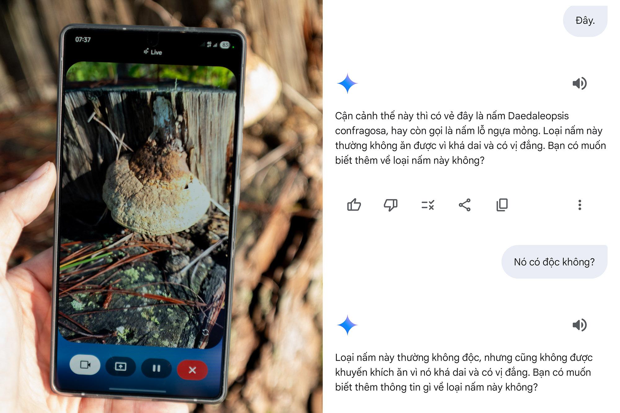Khám phá Bidoup - Núi Bà cùng Galaxy S25 Series và “hướng dẫn viên AI” Gemini Live- Ảnh 6. Khám phá Bidoup - Núi Bà cùng Galaxy S25 Series và “hướng dẫn viên AI” truc tiep bong da vtv6- Ảnh 6.