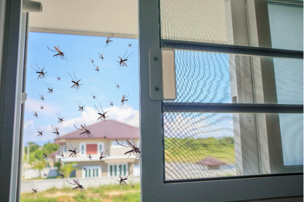 Cảnh báo về mức độ nguy hiểm khó lường của sốt xuất huyết- Ảnh 3. Cảnh báo về mức độ nguy hiểm khó lường của sốt xuất huyết- Ảnh 3.