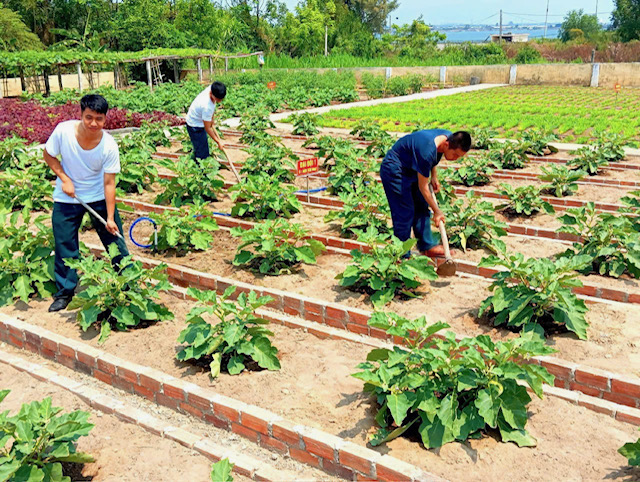 Ngành Hậu cần Sư đoàn 377 thi đua làm theo lời Bác Hồ dạy- Ảnh 4. Ngành Hậu cần Sư đoàn 377 thi đua làm theo lời Bác Hồ dạy- Ảnh 4.