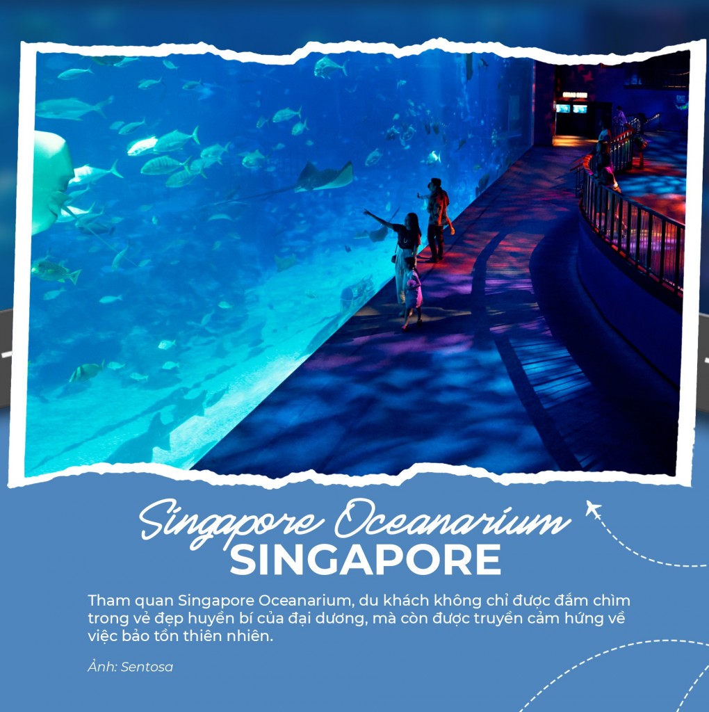 Singapore 2025: Loạt điểm đến mới khiến ai cũng muốn xách vali lên đường ngay lập tức- Ảnh 4. Singapore 2025: Loạt điểm đến mới khiến ai cũng muốn xách vali lên đường ngay lập tức- Ảnh 4.