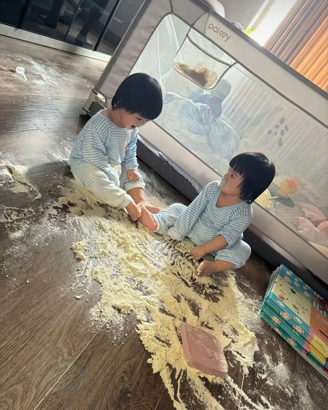 Cặp sinh ba siêu quậy Dâu - Kem - Sữa, idol mới nổi làng hot kid vừa cho mẹ 1 buổi sáng đi từ "sảng hồn" đến "sảng ví"!- Ảnh 5. Cặp sinh hi88 com siêu quậy Dâu - Kem - Sữa, idol mới nổi làng hot kid vừa cho mẹ 1 buổi sáng đi từ "sảng hồn" đến "sảng ví"!- Ảnh 5.