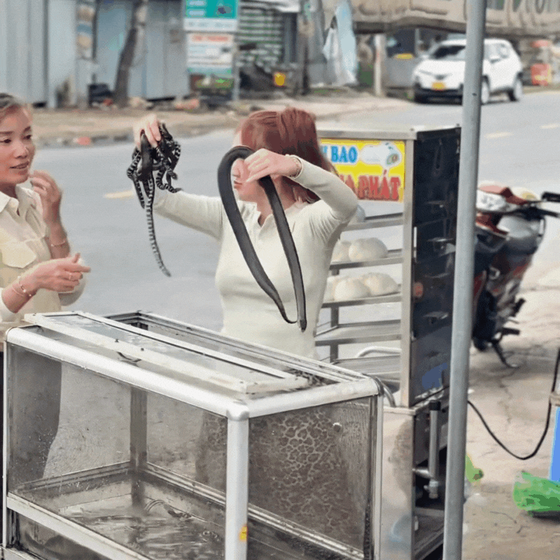 Món đặc sản "rùng mình" ở miền Tây ngày hè: Người sợ xanh mặt, người lại gật gù khen ngon- Ảnh 3. Món đặc sản "rùng mình" ở miền Tây ngày hè: Người sợ xanh mặt, người lại gật gù khen ngon- Ảnh 3.