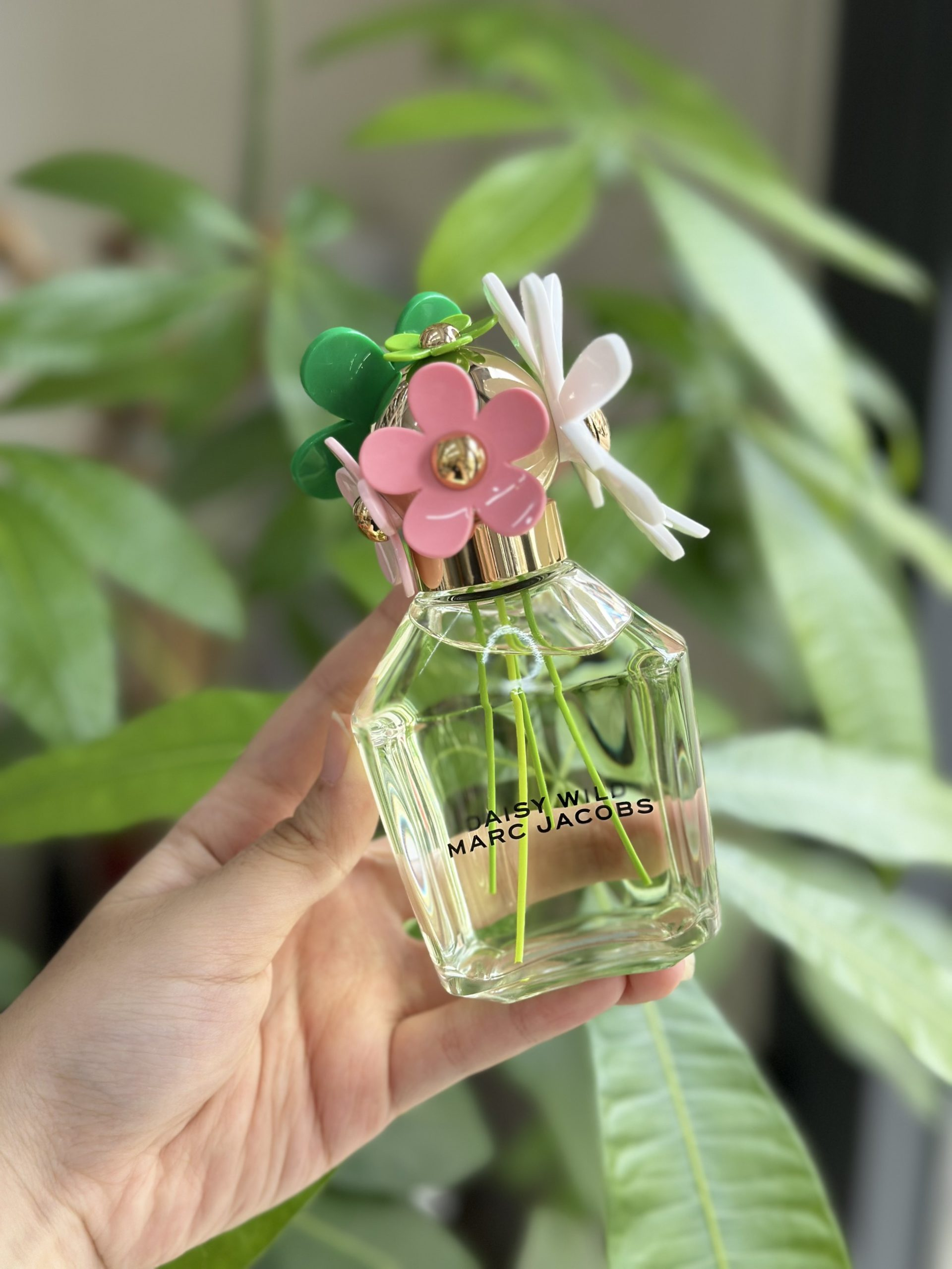 5 chai nước hoa thơm mát, thanh nhẹ phù hợp với mùa hè- Ảnh 3. 5 chai nước hoa thơm mát, thanh nhẹ phù hợp với mùa hè- Ảnh 3.