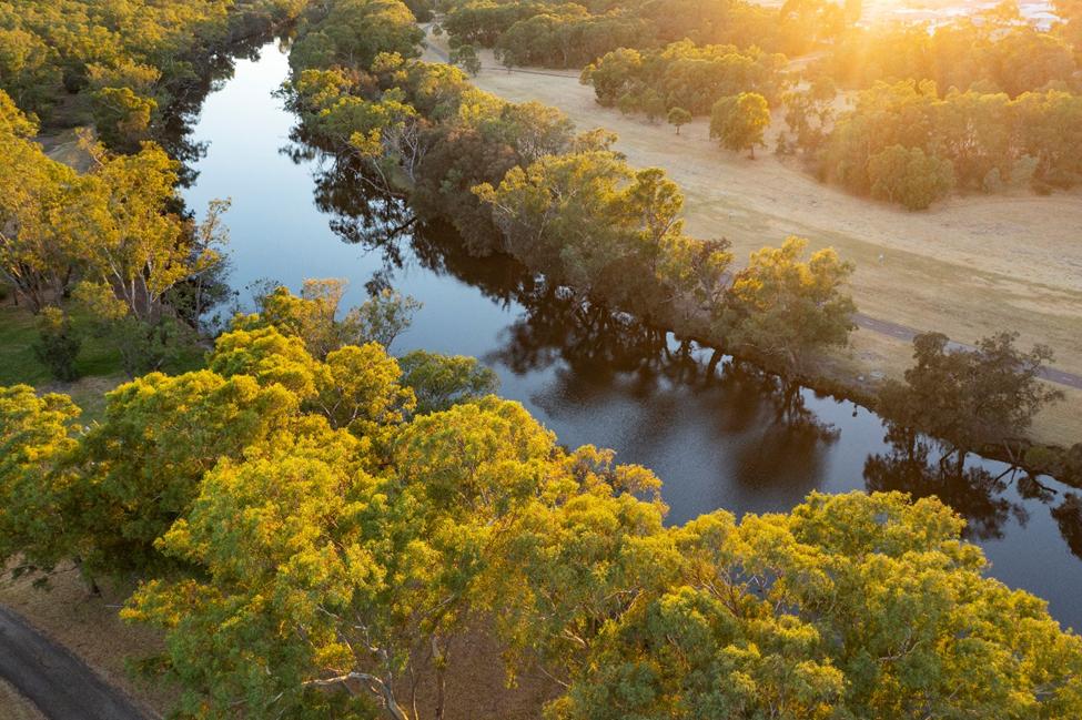 Thưởng thức rượu vang hảo hạng tại thung lũng Swan, Tây Australia- Ảnh 2. Thưởng thức rượu vang hảo hạng tại thung lũng Swan, Tây Australia- Ảnh 2.