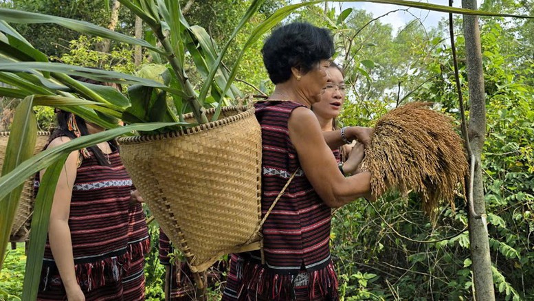 Công bố thêm 11 di sản văn hóa phi vật thể Quốc gia- Ảnh 1. Công bố thêm 11 di sản văn hóa phi vật thể Quốc gia- Ảnh 1.