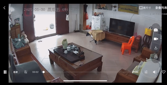 Thấy búp măng non lặc lè bước ra phòng khách, người phụ nữ tá hỏa, vội vàng chạy đến để giải cứu Thấy búp măng non lặc lè bước ra phòng khách, người phụ nữ tá hỏa, vội vàng chạy đến để giải cứu