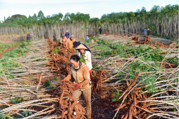 Mẹ bầu ‘tha hồ’ đổi món mà vẫn yên tâm dinh dưỡng cân đối với công cụ này- Ảnh 4. Mẹ bầu ‘tha hồ’ đổi món mà vẫn yên tâm dinh dưỡng cân đối với công cụ này- Ảnh 4.