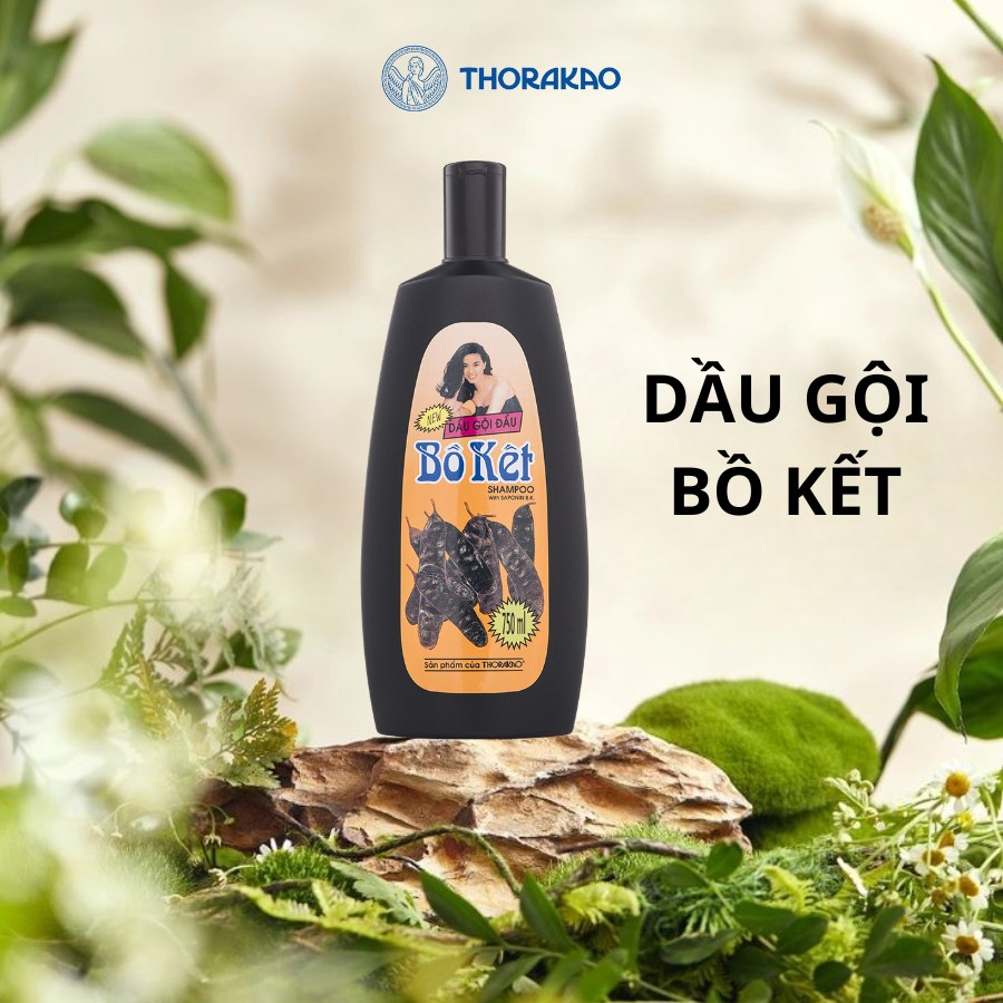 5 dầu gội bồ kết giúp tóc bồng bềnh, dày mượt và đen bóng tự nhiên- Ảnh 3. 5 dầu gội bồ kết giúp hi88.com lừa đảo bồng bềnh, dày mượt và đen bóng tự nhiên- Ảnh 3.
