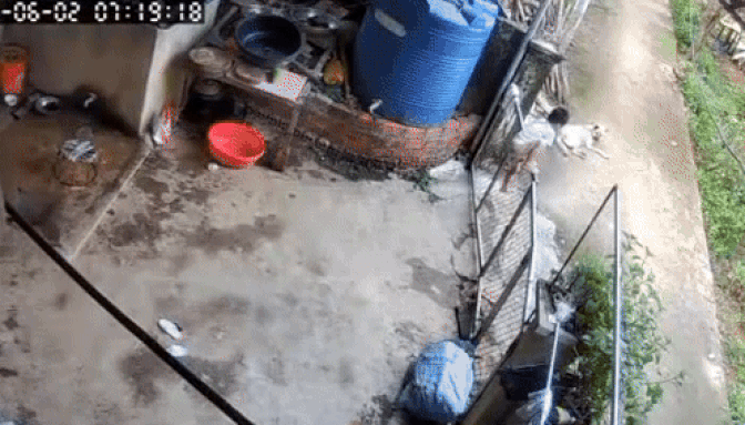 Búp măng non vượt ngàn chông gai để trốn nhà đi chơi, xem lại camera, mẹ bé muốn cạn lời khi thấy con ôm Búp măng non vượt ngàn chông gai để trốn nhà đi chơi, xem lại camera, mẹ bé muốn cạn lời khi thấy con ôm