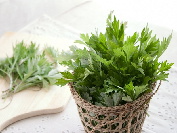 Thoáng sạch và an toàn: Đã đến lúc bạn nên thử băng vệ sinh "ngải cứu"- Ảnh 1. Thoáng sạch và an toàn: Đã đến lúc bạn nên thử băng vệ sinh "ngải cứu"- Ảnh 1.