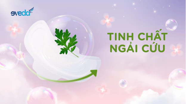 Thoáng sạch và an toàn: Đã đến lúc bạn nên thử băng vệ sinh "ngải cứu"- Ảnh 2. Thoáng sạch và an toàn: Đã đến lúc bạn nên thử băng vệ sinh "ngải cứu"- Ảnh 2.