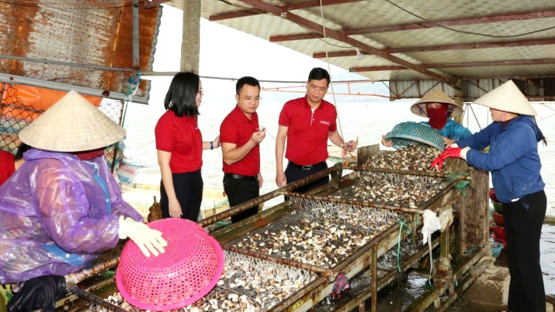 Agribank góp phần đưa kinh tế tư nhân thành động lực phát triển quốc gia- Ảnh 2. Agribank góp phần đưa kinh tế tư nhân thành động lực phát triển quốc gia- Ảnh 2.