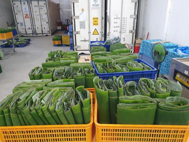 Mặt hàng ít được chú ý gây bất ngờ lớn, mỗi tháng mang về hàng triệu USD cho Việt Nam- Ảnh 2.