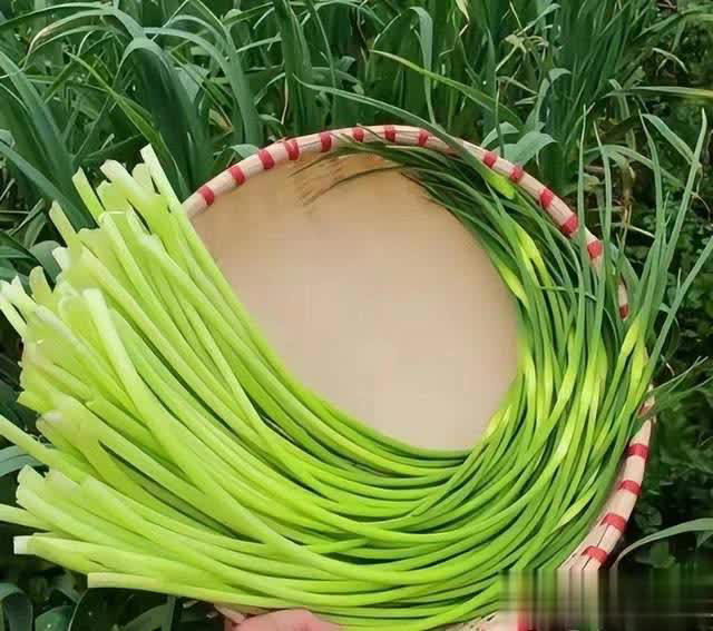 5 loại rau quả mùa hè nên tránh, ngay cả người bán cũng lắc đầu từ chối- Ảnh 2. 5 loại link bong da truc tiep quả mùa hè nên tránh, ngay cả người bán cũng lắc đầu từ chối- Ảnh 2.