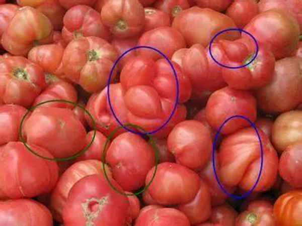 3 loại rau quả "ngậm đầy h&oacute;a chất", b&aacute;n rẻ như cho người kh&ocirc;n ngoan cũng lắc đầu bỏ đi- Ảnh 1.