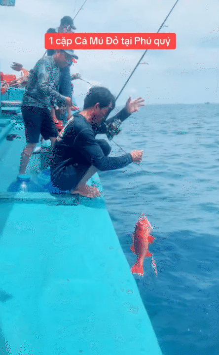 Vùng biển này toàn món ngon 'vương giả', nghe tên là đủ hiểu 'nhiều tiền chưa chắc đã được ăn'- Ảnh 12. Vùng biển này toàn món lich truc tiep bong da ngoai hang anh 'vương giả', nghe tên là đủ hiểu 'nhiều tiền chưa chắc đã được ăn'- Ảnh 12.