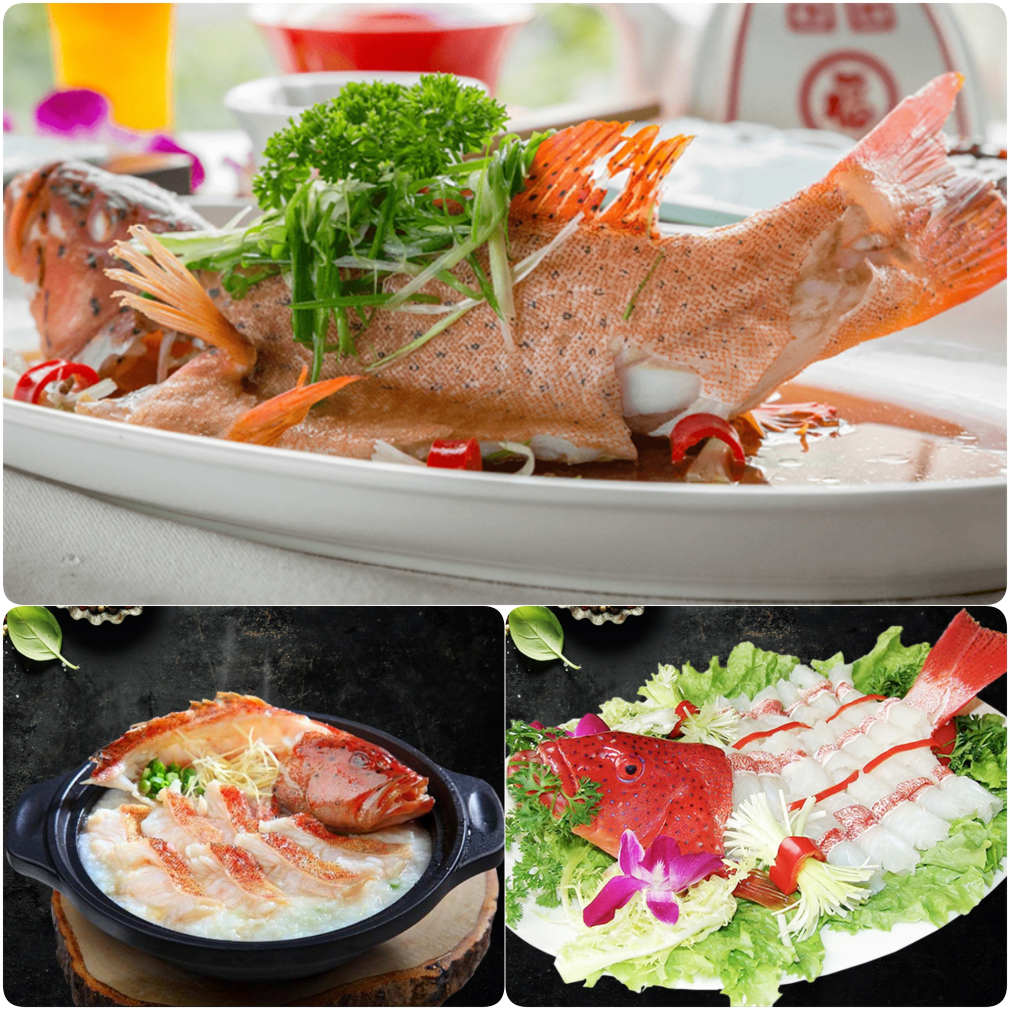 Vùng biển này toàn món ngon 'vương giả', nghe tên là đủ hiểu 'nhiều tiền chưa chắc đã được ăn'- Ảnh 13. Vùng biển này toàn món lich truc tiep bong da ngoai hang anh 'vương giả', nghe tên là đủ hiểu 'nhiều tiền chưa chắc đã được ăn'- Ảnh 13.