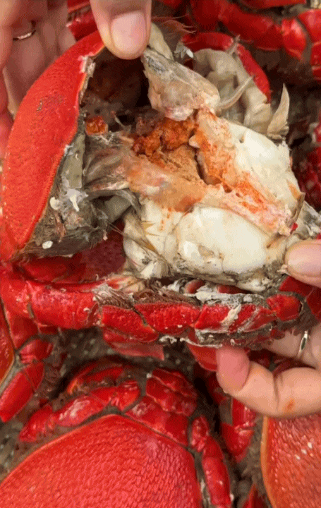 Vùng biển này toàn món ngon 'vương giả', nghe tên là đủ hiểu 'nhiều tiền chưa chắc đã được ăn'- Ảnh 8. Vùng biển này toàn món lich truc tiep bong da ngoai hang anh 'vương giả', nghe tên là đủ hiểu 'nhiều tiền chưa chắc đã được ăn'- Ảnh 8.