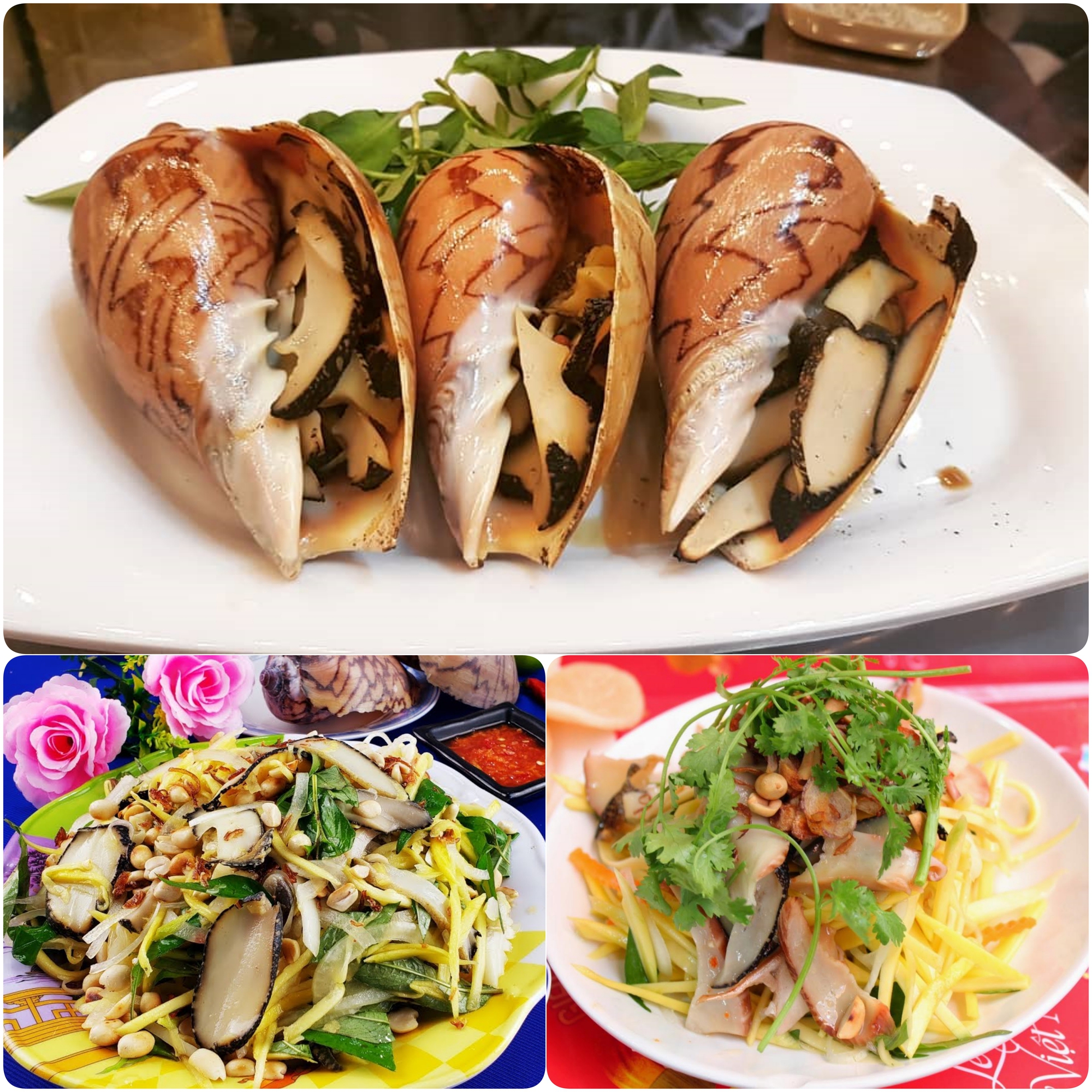 Vùng biển này toàn món ngon 'vương giả', nghe tên là đủ hiểu 'nhiều tiền chưa chắc đã được ăn'- Ảnh 10. Vùng biển này toàn món lich truc tiep bong da ngoai hang anh 'vương giả', nghe tên là đủ hiểu 'nhiều tiền chưa chắc đã được ăn'- Ảnh 10.