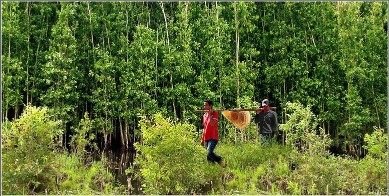 Cà Mau - vùng đất địa đầu, bừng sáng tương lai- Ảnh 5. Cà Mau - vùng đất địa đầu, bừng sáng tương lai- Ảnh 5.