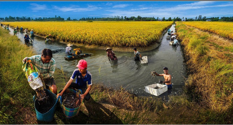 Cà Mau - vùng đất địa đầu, bừng sáng tương lai- Ảnh 3. Cà Mau - vùng đất địa đầu, bừng sáng tương lai- Ảnh 3.