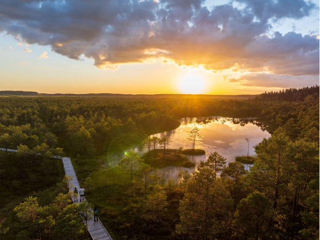 Estonia – Một trong những nơi đáng sống nhất thế giới- Ảnh 3. Estonia – Một trong những nơi đáng sống nhất thế giới- Ảnh 3.