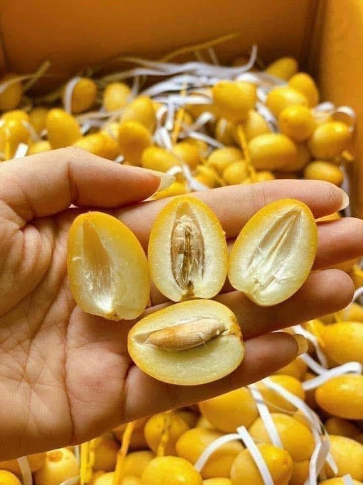 Chợ hoa quả tháng 8: Chà là bất ngờ “soán ngôi” xoài, nho để thành mặt hàng hot nhất- Ảnh 11. Chợ hoa quả tháng 8: Chà là bất ngờ “soán ngôi” xoài, nho để thành mặt hàng hot nhất- Ảnh 11.
