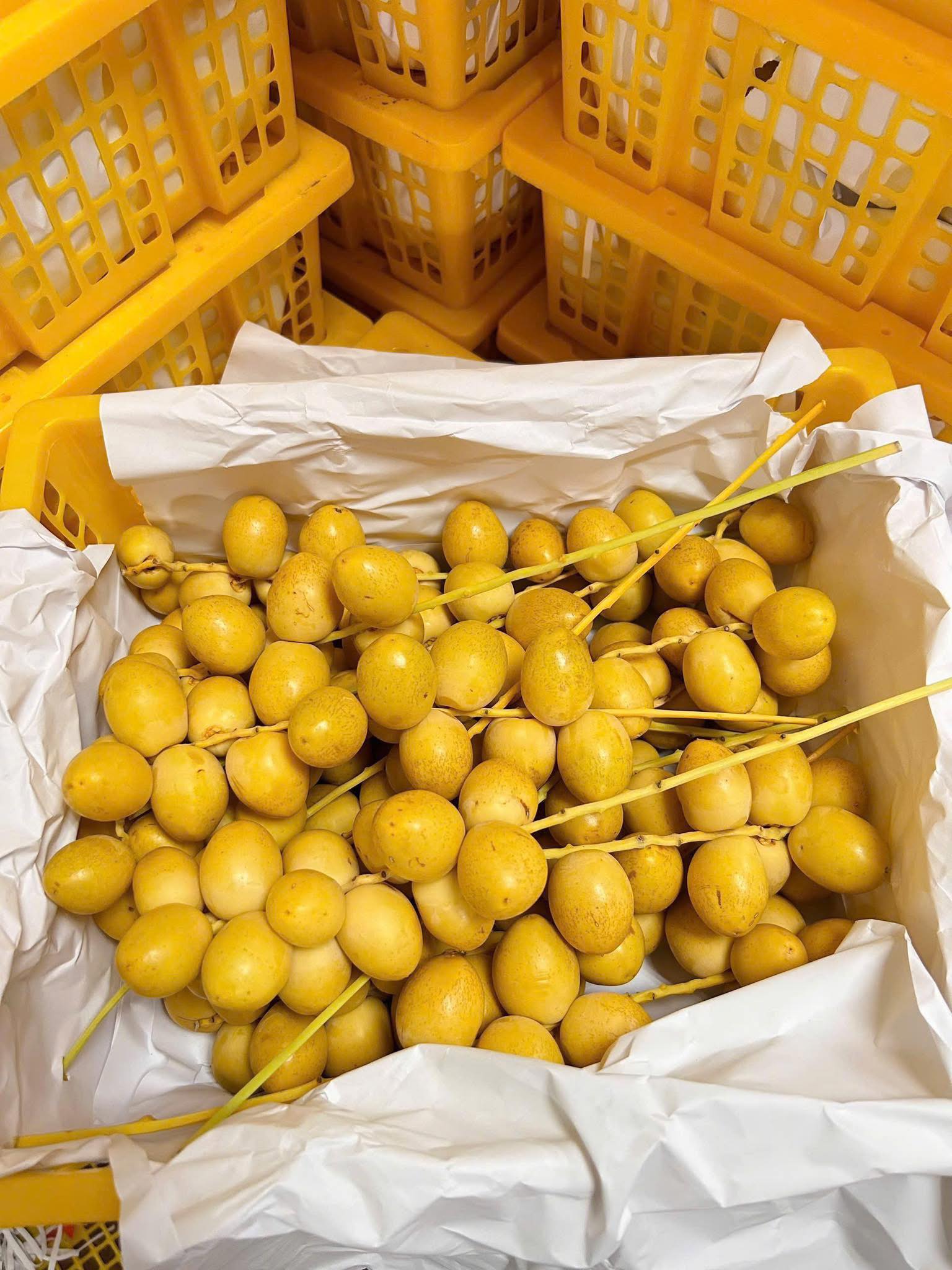 Chợ hoa quả tháng 8: Chà là bất ngờ “soán ngôi” xoài, nho để thành mặt hàng hot nhất- Ảnh 12. Chợ hoa quả tháng 8: Chà là bất ngờ “soán ngôi” xoài, nho để thành mặt hàng hot nhất- Ảnh 12.