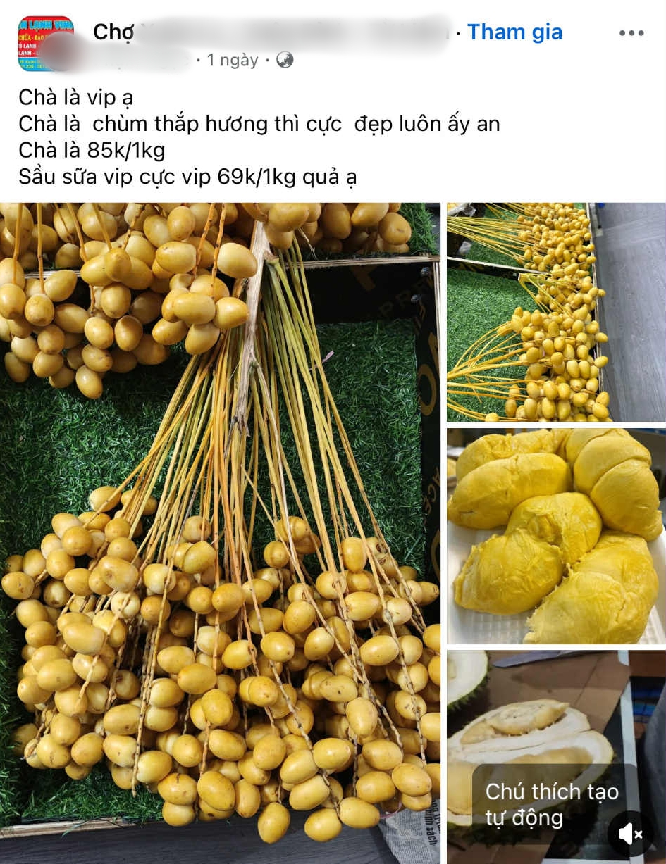 Chợ hoa quả tháng 8: Chà là bất ngờ “soán ngôi” xoài, nho để thành mặt hàng hot nhất- Ảnh 9. Chợ hoa quả tháng 8: Chà là bất ngờ “soán ngôi” xoài, nho để thành mặt hàng hot nhất- Ảnh 9.