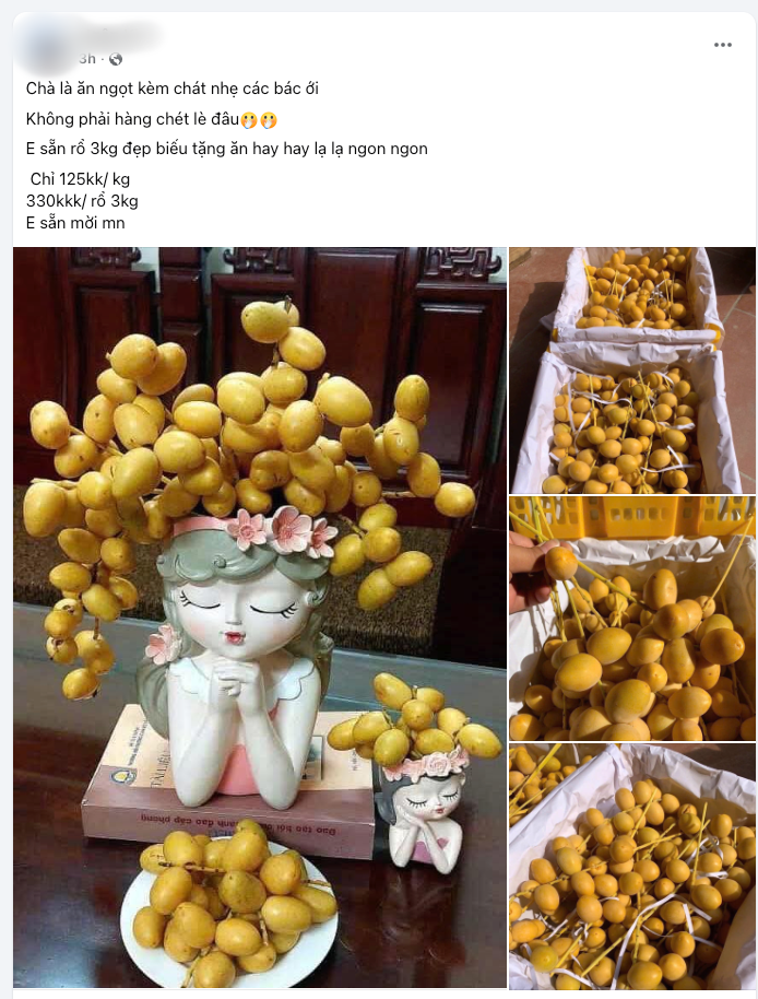Chợ hoa quả tháng 8: Chà là bất ngờ “soán ngôi” xoài, nho để thành mặt hàng hot nhất- Ảnh 7. Chợ hoa quả tháng 8: Chà là bất ngờ “soán ngôi” xoài, nho để thành mặt hàng hot nhất- Ảnh 7.
