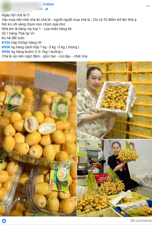 Chợ hoa quả tháng 8: Chà là bất ngờ “soán ngôi” xoài, nho để thành mặt hàng hot nhất- Ảnh 8. Chợ hoa quả tháng 8: Chà là bất ngờ “soán ngôi” xoài, nho để thành mặt hàng hot nhất- Ảnh 8.