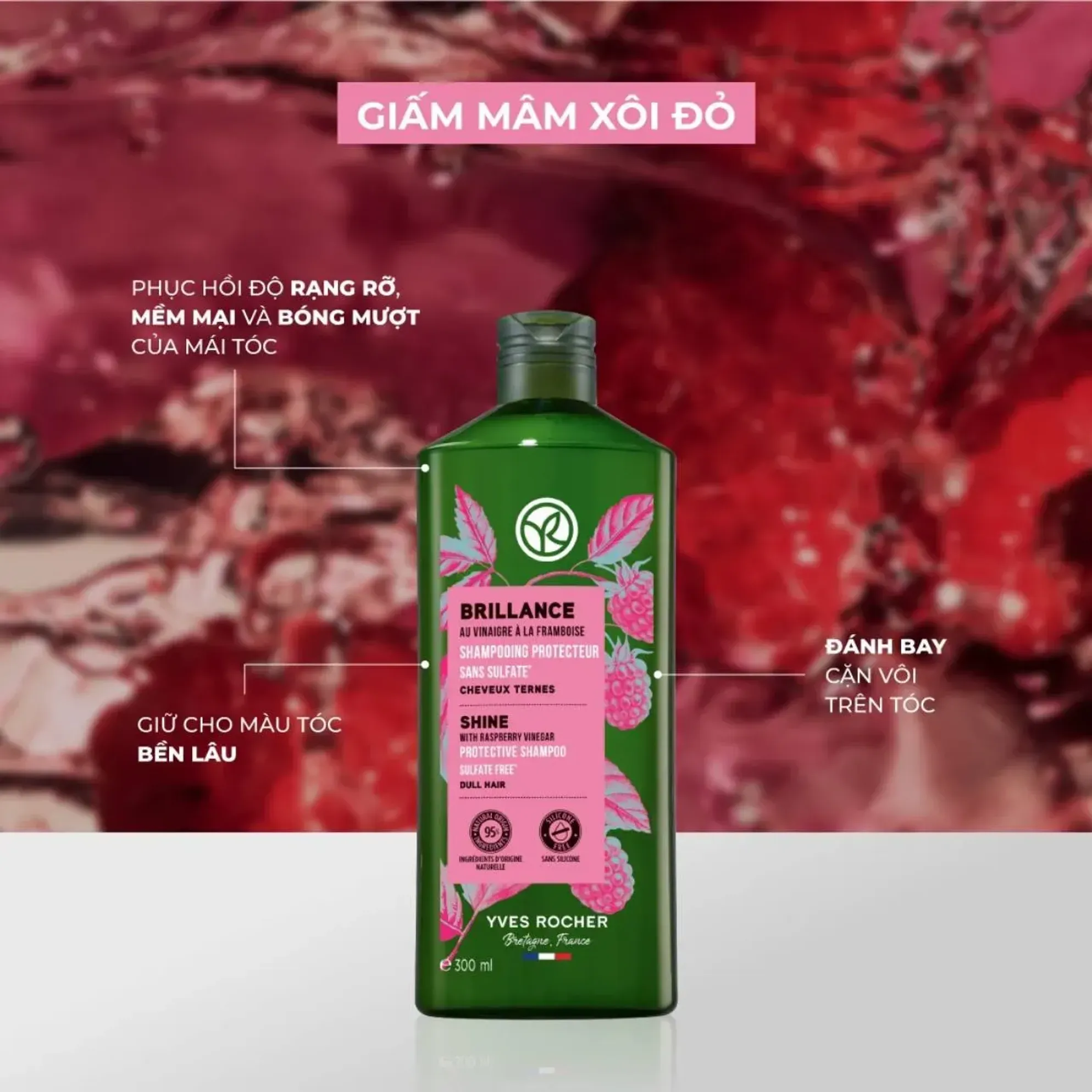 5 dầu gội bảo vệ màu mà hội nhuộm tóc rất cần- Ảnh 2.