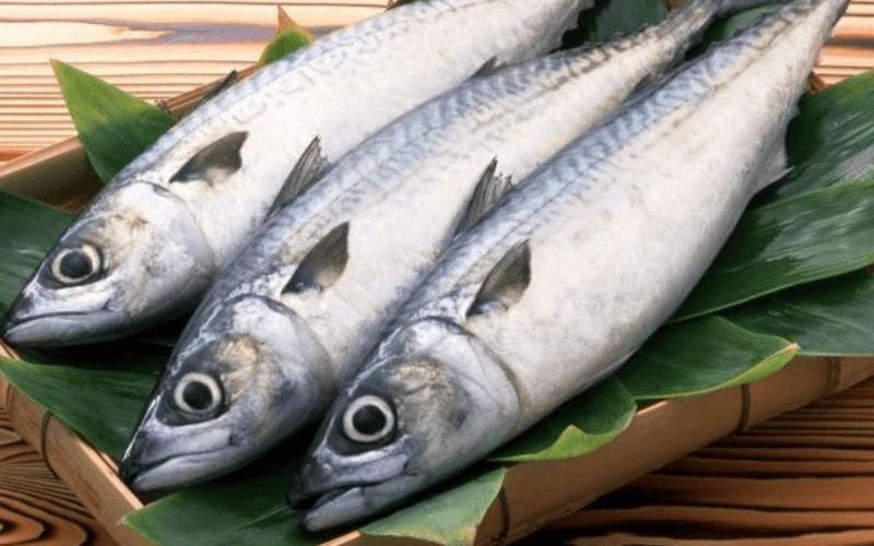 Đừng vội mua lươn hay cá chạch, 3 loại cá dân dã này mới thực sự tốt nhất cho sức khỏe- Ảnh 1. Đừng vội mua lươn hay cá chạch, 3 loại cá dân dã này mới thực sự tốt nhất cho sức khỏe- Ảnh 1.