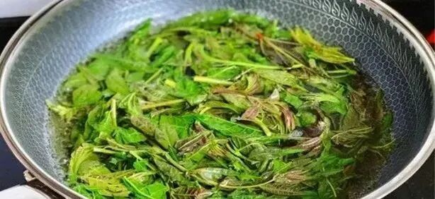 4 loại rau này không chần nước sôi coi chừng cả nhà trúng độc, loại thứ 2 rất nhiều người mê- Ảnh 3. 4 loại rau này không chần nước sôi coi chừng cả nhà trúng độc, loại thứ 2 rất nhiều người mê- Ảnh 3.