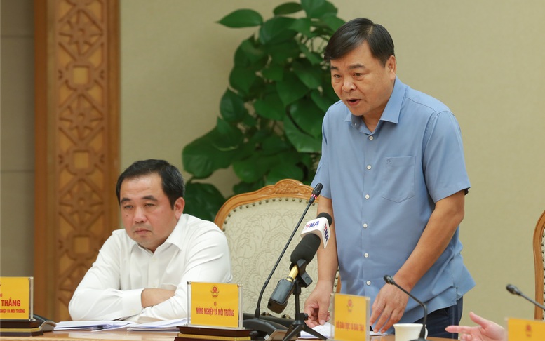 Triển khai nhanh chóng, quyết liệt phương án ứng phó siêu bão Ragasa (bão số 9)- Ảnh 2. Triển khai nhanh chóng, quyết liệt phương án ứng phó siêu bão Ragasa (bão số 9)- Ảnh 2.