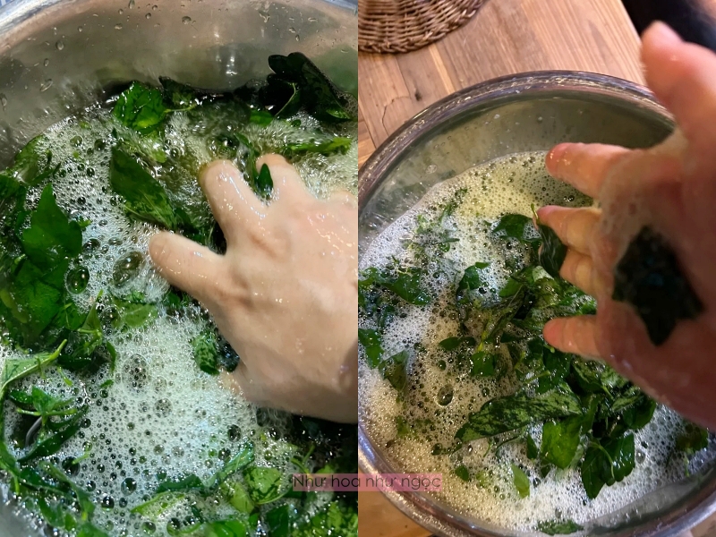 Nghe lời bà ngoại, tôi thử gội đầu bằng lá dâm bụt và phát hiện ra đây chính là 