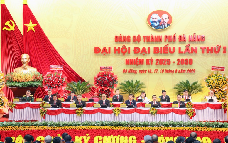 Phát triển Cù lao Chàm xứng tầm khu du lịch của quốc gia- Ảnh 6.