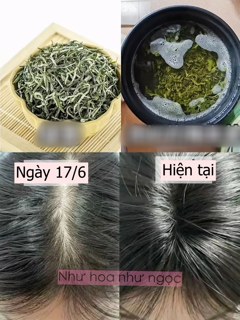 Thay vì hấp phục hồi ở tiệm, tôi ngâm tóc bằng trà xanh và không nghĩ mái tóc "khởi sắc" nhanh đến như vậy!- Ảnh 4. Thay vì hấp phục hồi ở tiệm, tôi ngâm tóc bằng trà xanh và không nghĩ mái tóc "khởi sắc" nhanh đến như vậy!- Ảnh 4.