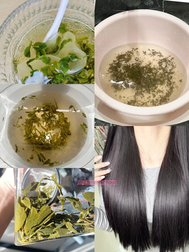 Thay vì hấp phục hồi ở tiệm, tôi ngâm tóc bằng trà xanh và không nghĩ mái tóc "khởi sắc" nhanh đến như vậy!- Ảnh 1. Thay vì hấp phục hồi ở tiệm, tôi ngâm tóc bằng trà xanh và không nghĩ mái tóc "khởi sắc" nhanh đến như vậy!- Ảnh 1.