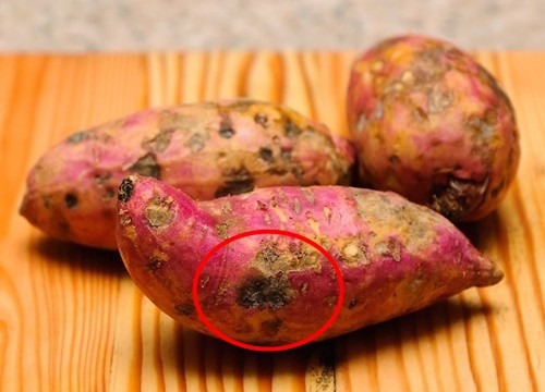 Khuyên bạn: Đừng mua khoai lang nếu thấy 4 dấu hiệu "ngậm độc" này, ăn vào chỉ khổ cái thân!- Ảnh 1. Khuyên bạn: Đừng mua khoai lang nếu thấy 4 dấu hiệu "ngậm độc" này, ăn vào chỉ khổ cái thân!- Ảnh 1.