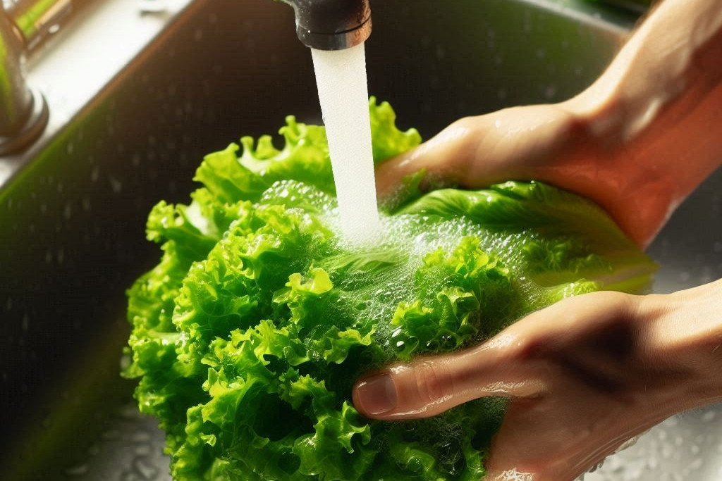 Một phụ nữ 33 tuổi ăn rau diếp mỗi bữa, 3 tháng sau đi khám sức khỏe bác sĩ "trợn mắt": "Cô đã ăn gì?"- Ảnh 2. Một phụ nữ 33 tuổi ăn link bong da truc tiep diếp mỗi bữa, 3 tháng sau đi khám sức khỏe bác sĩ "trợn mắt": "Cô đã ăn gì?"- Ảnh 2.